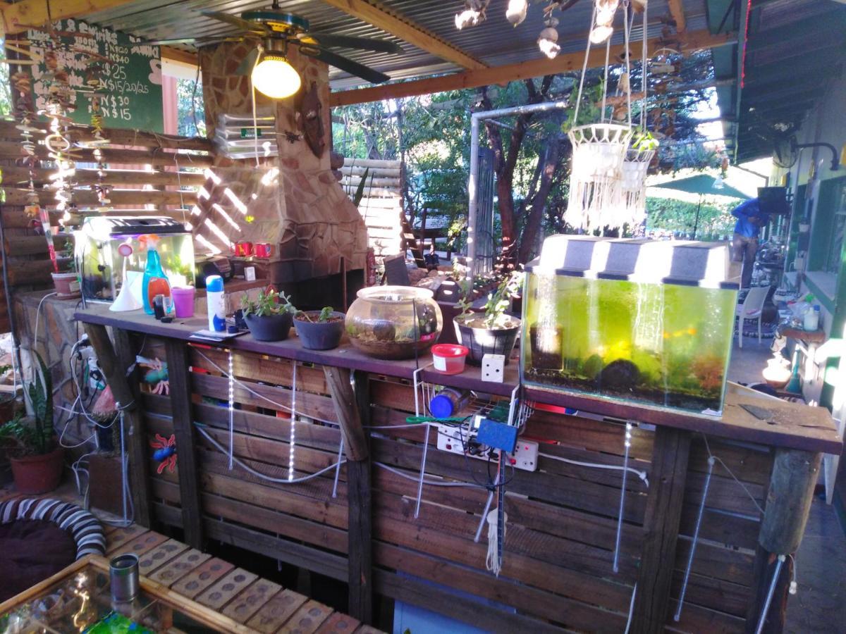 Xenia Bed & Breakfast Виндхук Экстерьер фото